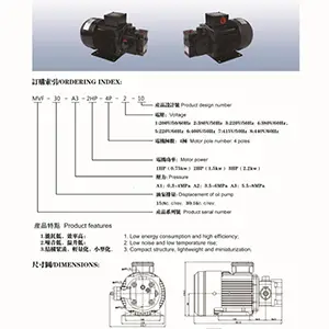 电机泵组 （叶片泵+电机）