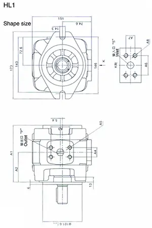 HL1 内啮合齿轮单泵 