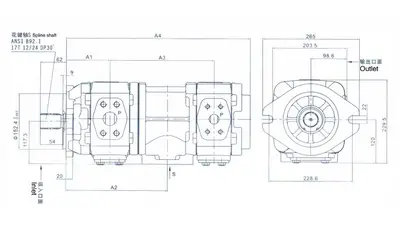 HL22 内啮合齿轮双联泵
